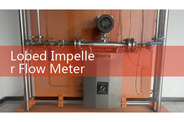 Lobed Impeller Flow Meter Working Principle: Positive Displacement Rotary Roots Design for High Viscosities